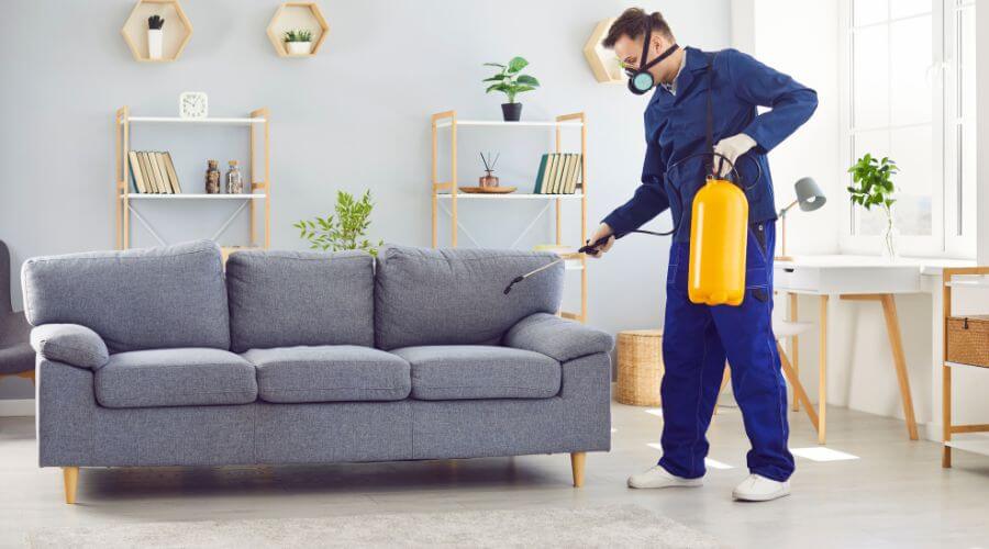 Professional apartment pest control services in St. Paul - APC St. Paul