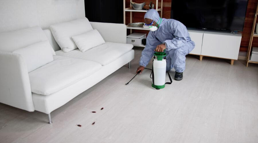 Why choose APC St. Paul for apartment pest control in St. Paul